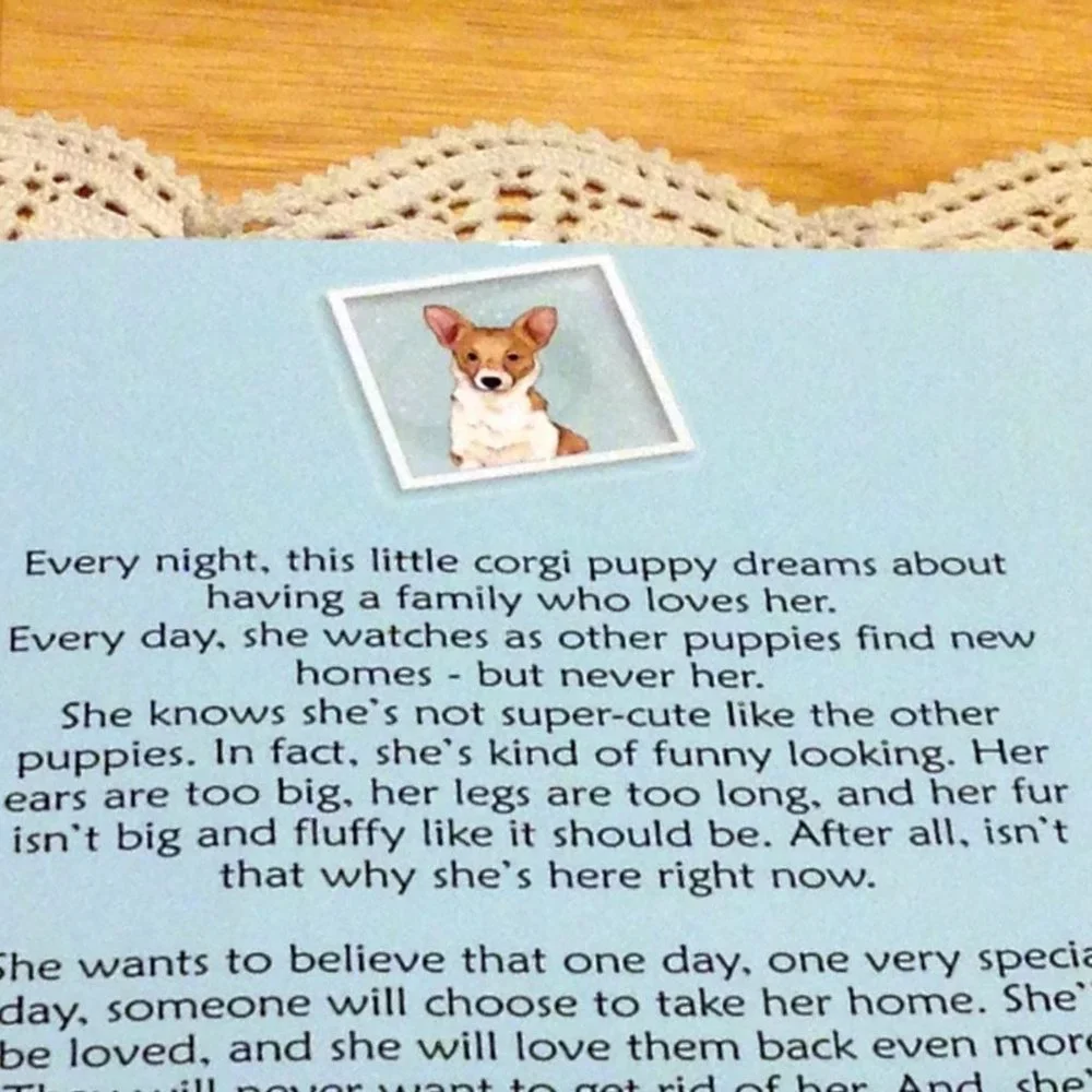 Book Sale! 3 for $10! Pet Story, Coco's Tale, Corgi No one wanted